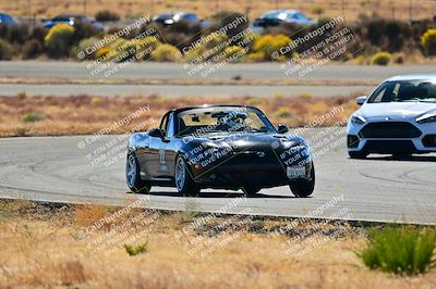 media/Nov-16-2024-Extreme Speed (Sat) [[6587d07cc4]]/Gold Group/Session 2 (Turns 3 and 5)/